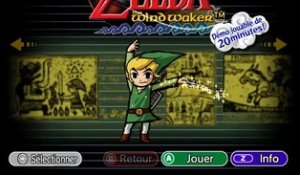 The Legend of Zelda: Collector's Edition online multiplayer - ngc
