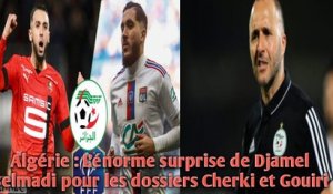 Algérie : L’énorme surprise de Djamel Belmadi pour les dossiers Cherki et Gouiri.