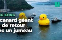Dix ans après, le canard jaune géant de Hong Kong est de retour avec un jumeau