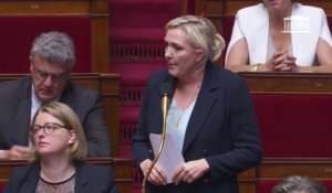 "Vous avez peur du vote, parce qu'en réalité, vous avez peur du peuple", lance Marine Le Pen à l'Assemblée