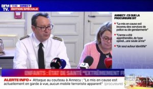 Attaque au couteau à Annecy: l'agresseur "n'était ni sous l'emprise de stupéfiants, ni sous l'emprise d'alcool", affirme la procureure