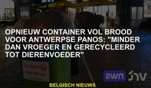 Wederom container vol met brood voor Antwerpen Panos: "Minder dan voorheen en gerecycled in diervoed