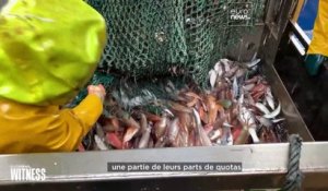 La lente agonie post-Brexit de l'industrie de la pêche en Irlande