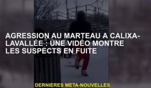 Assaut de marteau dans Calixa-Lavallée: Une vidéo montre les suspects de fascia