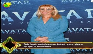 Élodie Gossuin transie d'amour pour Bertrand Lacherie : photo du  qui a pris "20 ans dans la face"