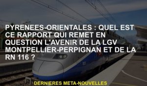 Pyrénée-Orientales: Quel est ce rapport qui remet en question l'avenir du LGV Montpellier-Perpignan