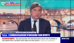 "Néonazis en Ukraine": pour l'ambassadeur d’Ukraine en France, les propos de Vladimir Poutine sont "le summum du cynisme"