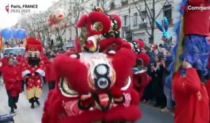 France : danseurs, musiciens, tigres et dragons pour la parade du nouvel an chinois