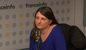Projet de loi immigration : "On est en train de multiplier potentiellement le nombre de sans-papiers en France demain", alerte France Terre d'Asile