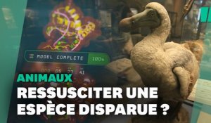 Cette start-up américaine veut faire revenir le dodo à la vie