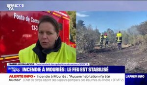 Incendie à Mouriès: le feu est stabilisé
