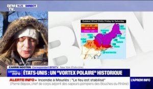 Les États-Unis et le Canada sous un "vortex polaire" historique