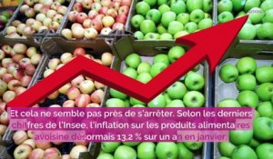 Leclerc, Lidl, Aldi ? Voici le supermarché préféré des Français en 2023 et c’est également le moins cher