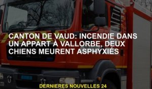 Canton de Vaud: feu dans un appartement à Vallorbe, deux chiens meurent asphyxiés