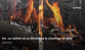 Le chauffage au bois, premier pollueur et fléau pour la santé