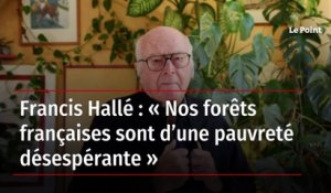 Francis Hallé : « Nos forêts françaises sont d’une pauvreté désespérante »