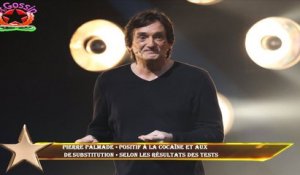 Pierre Palmade « positif à la cocaïne et aux  de substitution » selon les résultats des tests