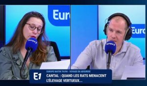 Cantal : «Quand les rats menacent l’élevage vertueux»