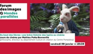 Du bout des lièvres : une brève histoire des lapins au cinéma