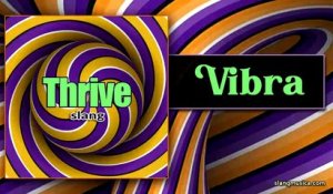 Vibra from the album Thrive by Slang