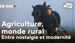 Un monde en doc : Agriculture, monde rural, entre nostalgie et la modernité