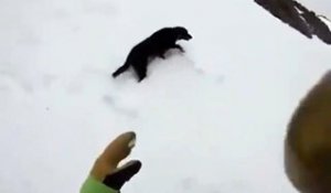 Son chien se rappellera longtemps de sa descente à ski