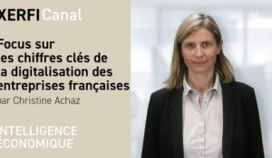 Focus sur les chiffres clés de la digitalisation des entreprises françaises [Christine Achaz]