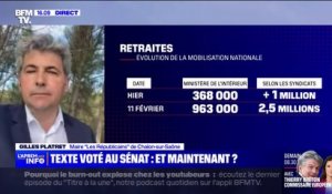 Réforme des retraites: "Si on représente aujourd'hui les Français, on doit voter contre cette réforme", affirme Gilles Platret