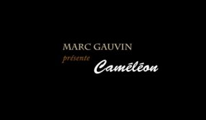 2013 Marc Gauvin, Caméléon * Trigone Production
