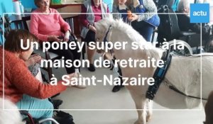 Epoly, le poney super star à l'Ehpad le Val de l'Eve de Saint-Nazaire