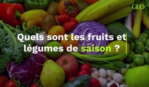 Quels sont les fruits et les légumes de saison ?