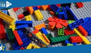 Vous allez adorer ces jeux de construction Lego Icons plantes