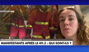 Églantine L'Haridon : «On nous impose une violence politique avec l'usage du 49.3»