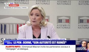 Marine Le Pen: "Emmanuel Macron insulte tous les Français"