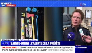 Sainte-Soline: "des haches, des machettes et des couteaux" ont été trouvés sur certains manifestants, alerte la préfète des Deux-Sèvres