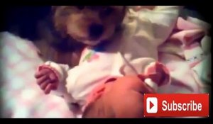 Funny Baby - Cute Babies and Dogs