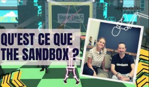 Qu'est ce que The SANDBOX ?  Interview de Sébastien Borget, COO et Co-fondateur @TheSandboxGame ​
