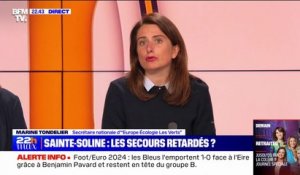 Sainte-Soline: "Directement, ça a attaqué très, très dur du côté des gendarmes", raconte Marine Tondelier (EELV)