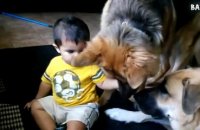 ---Big  Dogs Playing with Babies Compilation 2016