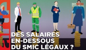 Des salaires en-dessous du SMIC légaux ? / Désintox ARTE du 28/03/2023 /