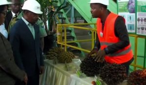 [#Reportage] Amount of Palm Oil: le Gabon absent du top 10 des pays africains producteurs d’huile de palme
