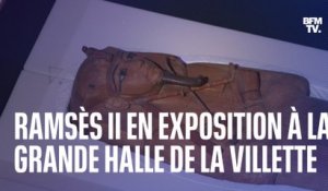 Le sarcophage de Ramsès II est arrivé à Paris pour une exposition unique