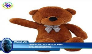 Craquez sur cette peluche Winnie  et sa super réduction