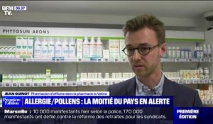 Allergie aux pollens: la moitié de la France est en alerte rouge