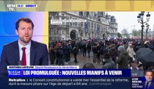 Mathieu Lefèvre (Renaissance): "Il faut que chacune des forces politiques prenne acte de la décision du Conseil constitutionnel"