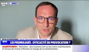 Promulgation de la réforme des retraites: "Ce qu'ils veulent, c'est que les Français passent à autre chose", affirme Nicolas Meizonnet (RN)