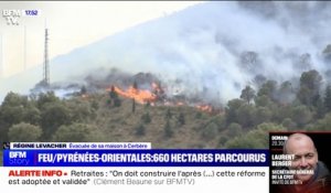 "On ne voyait plus rien dans le village": le récit d'une habitante de Cerbère, évacuée de sa maison en raison de l'incendie en cours dans les Pyrénées-Orientales