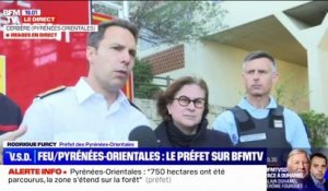 Incendie dans les Pyrénées-Orientales: le préfet s'exprime