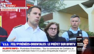 Incendie dans les Pyrénées-Orientales: "La sécheresse de la végétation a fortement contribué à cette situation", affirme le préfet Rodrigue Furcy