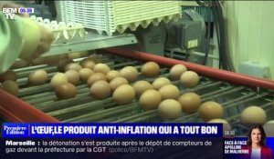 Pas épargnés par l'inflation, les œufs restent prisés par les Français